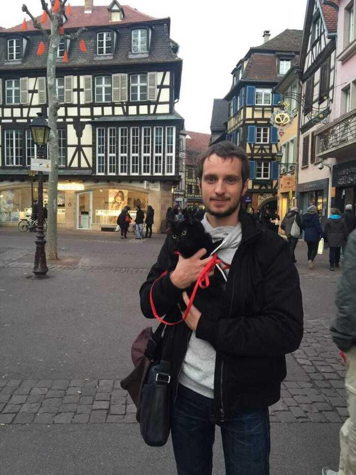 Фото Новосибирцы обняли кошек в честь праздника 7